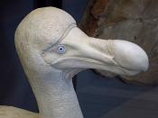 galerie de paleontologie et de anatomie comparee 12-2015 8251